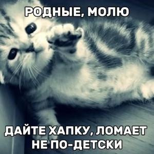Боевой